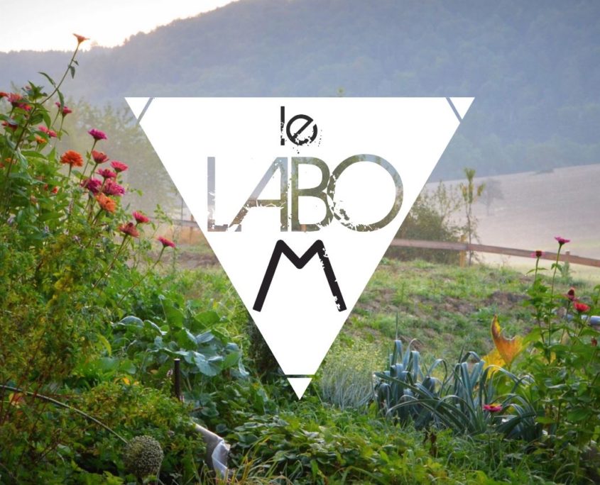 le labo M